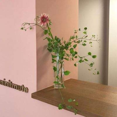 乐发lv彩票app下载安装